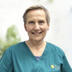 Portrait vonChristiane Bosse