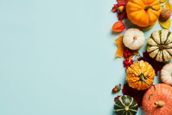 Autumn frame border with pumpkins, maple leaves, acorns, rowan branches, physalis on pastel blue table. Autumn fall, Thanksgiving concept.